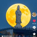 用户5055790197128头像