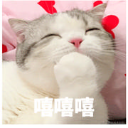 是小猫咪吖的个人资料头像