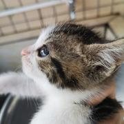 嘉俊Carlson的个人资料头像