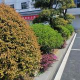 峰回路转头像