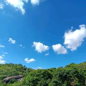 向着太阳迎着光头像