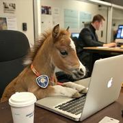 有风63的个人资料头像