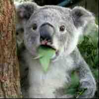 搞事情啦啦啦头像