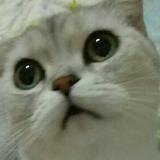 1%头像