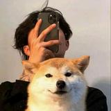 阿七7690头像