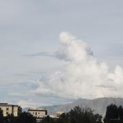 p酱的个人资料头像