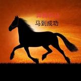 用户4088618316366头像