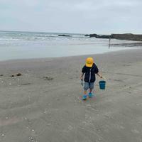 洒脱饺子oRo头像