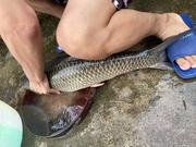 从意的个人资料头像