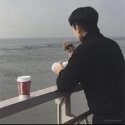 属于什么的个人资料头像