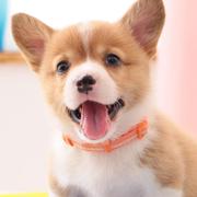 随便102的个人资料头像