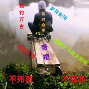 独钓万古的个人资料头像