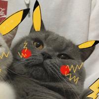 煮饭王巴萨罗拉小王子头像