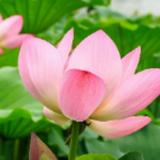 人生快乐9136头像