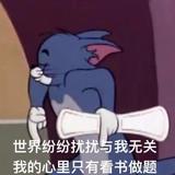 水蜜桃柚子925头像