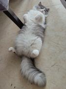 牛奶艺术鉴赏家的个人资料头像