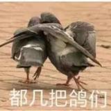 用户913074807162头像