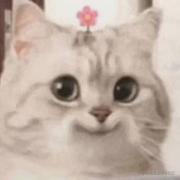 CvEngineer的个人资料头像