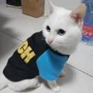 大脸猫本尊68671的个人资料头像