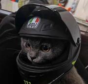 SRE实战派的个人资料头像