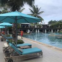 卡布奇诺三合一头像