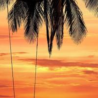 奋发面条E3头像