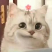 南茗啊的个人资料头像