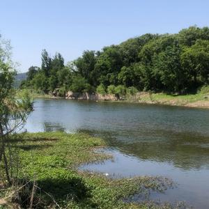 姚老师野钓日记头像