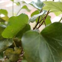 小恩诗歌推荐头像