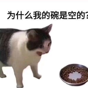 番茄2916371846398584头像