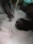 王源的王的个人资料头像