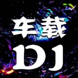 DJmix《车载音乐嗨曲U盘》头像