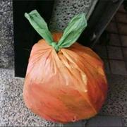 冉蓝的个人资料头像