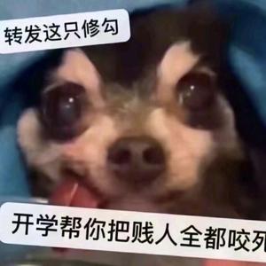 鼠了头像