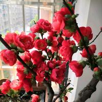 影子4781903994567头像