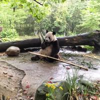 直率宇宙qXk头像