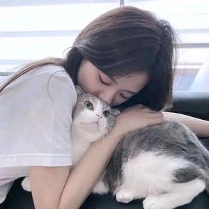 快乐的叶子i头像