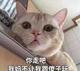梅州热心市民头像