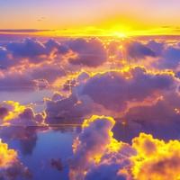 浅海听鲸歌头像