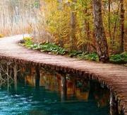 拉可爱啊的个人资料头像