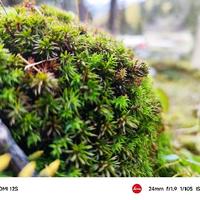 优美辰星UDN头像