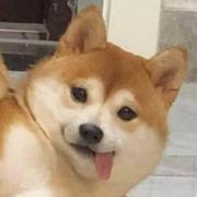 仙人球639的个人资料头像