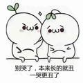 追梦588头像