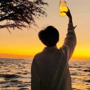 Apricity36的个人资料头像