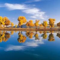 大漠之舟101322320头像