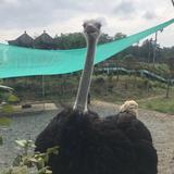 刘海393头像