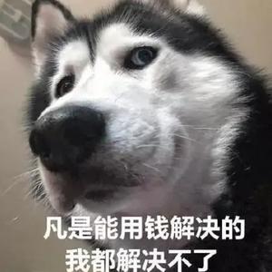 终产者A头像