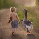 永远的答案ok的个人资料头像