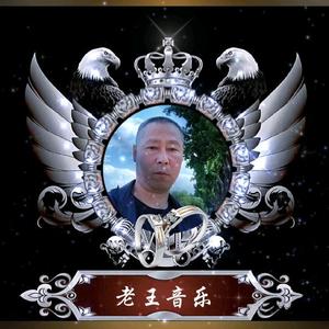 老王DJ音乐分享头像