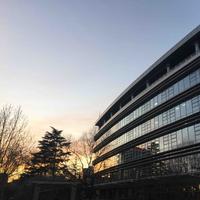 哇泥拉拉铁头像